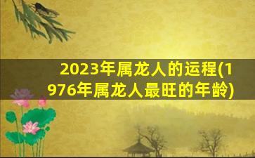 2023年属龙人的运程(1976年