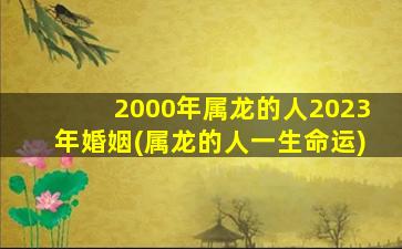 2000年属龙的人2023年婚姻