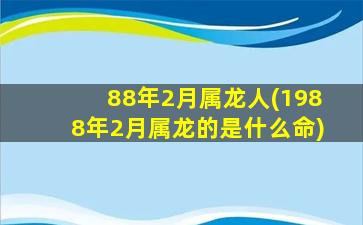 88年2月属龙人(1988年2月属龙的是什么命)