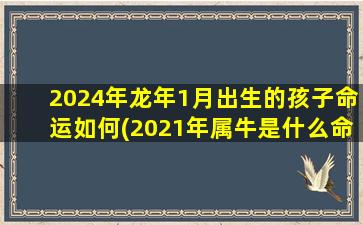 2024年龙年1月出生的孩子命运如何(2021年属牛是什么命)