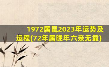 1972属鼠2023年运势及运程(72年属晚年六亲无靠)