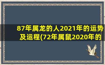 87年属龙的人2021年的运势