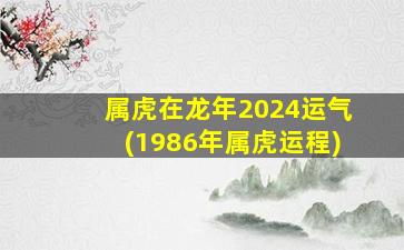 属虎在龙年2024运气(1986年属虎运程)