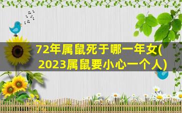 72年属鼠死于哪一年女(2