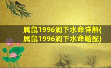 属鼠1996涧下水命详解(属