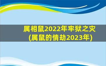 属相鼠2022年牢狱之灾(属鼠的情劫2023年)