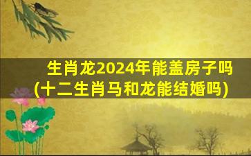 生肖龙2024年能盖房子吗