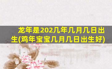 龙年是202几年几月几日出