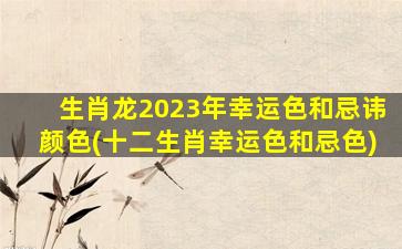 生肖龙2023年幸运色和忌