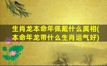 生肖龙本命年佩戴什么属相(本命年龙带什么生肖运气好)