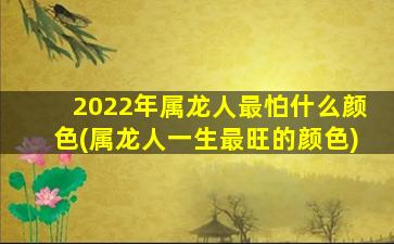 2022年属龙人最怕什么颜