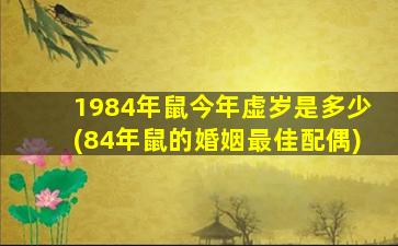 1984年鼠今年虚岁是多少