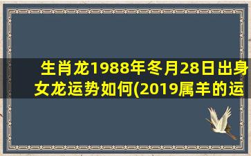 生肖龙1988年冬月28日出身