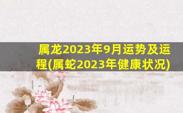 <strong>属龙2023年9月运势及运程</strong>