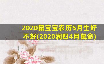 2020鼠宝宝农历5月生好不