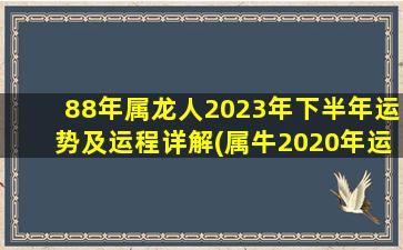 88年属龙人2023年下半年运势及运程详解(属牛2020年运势及运程)