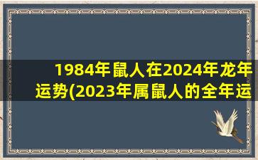 1984年鼠人在2024年龙年运