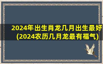 2024年出生肖龙几月出生最