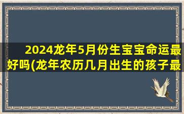 2024龙年5月份生宝宝命运最