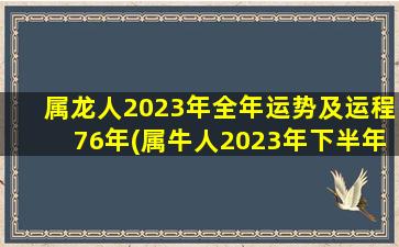 属龙人2023年全年运势及运程76年(属牛人2023年下半年运势)