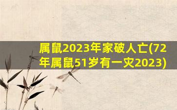 属鼠2023年家破人亡(72年属鼠51岁有一灾2023)