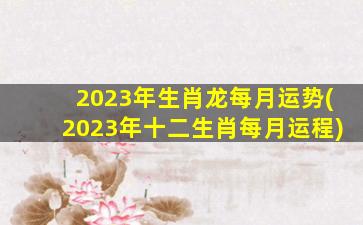 2023年生肖龙每月运势(