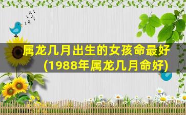 属龙几月出生的女孩命最好(1988年属龙几月命好)