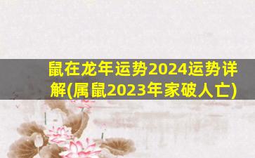 鼠在龙年运势2024运势详解(属鼠2023年家破人亡)