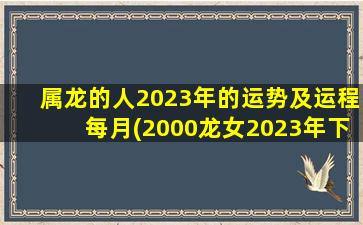 属龙的人2023年的运势及运