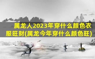 属龙人2023年穿什么颜色