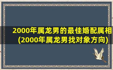 2000年属龙男的最佳婚配