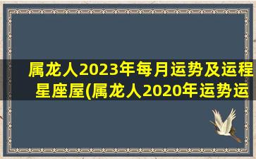 属龙人2023年每月运势及运