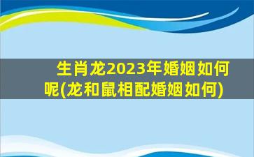 生肖龙2023年婚姻如何呢(龙和鼠相配婚姻如何)