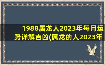 1988属龙人2023年每月运势详