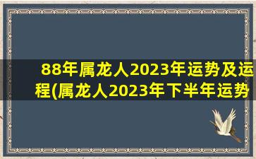 88年属龙人2023年运势及运程(属龙人2023年下半年运势及运程)