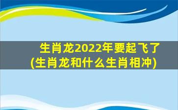 生肖龙2022年要起飞了(生