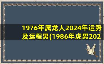 1976年属龙人2024年运势及