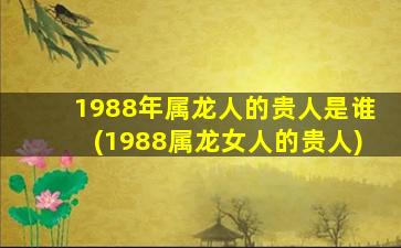 1988年属龙人的贵人是谁(1988属龙女人的贵人)