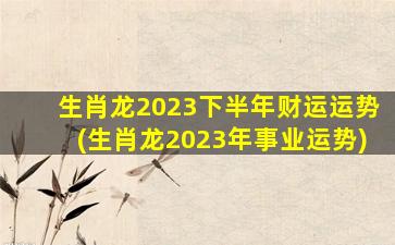 生肖龙2023下半年财运运