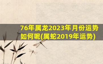 76年属龙2023年月份运势如