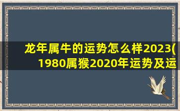 龙年属牛的运势怎么样2