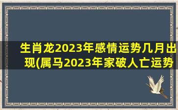 生肖龙2023年感情运势几月