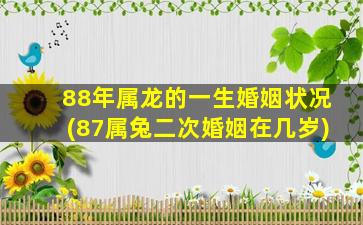 88年属龙的一生婚姻状况(87属兔二次婚姻在几岁)