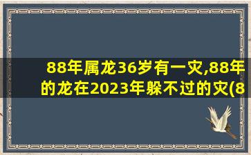 88年属龙36岁有一灾,88年的龙在2023年躲不过的灾(84年属鼠39岁有一灾)