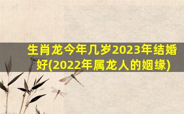 生肖龙今年几岁2023年结