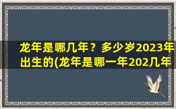 龙年是哪几年？多少岁