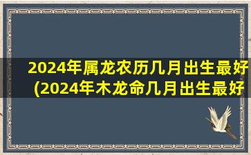 <strong>2024年属龙农历几月出生</strong>