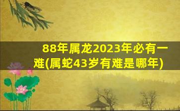 88年属龙2023年必有一难