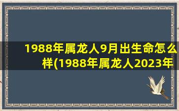 1988年属龙人9月出生命怎