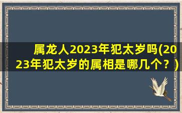 属龙人2023年犯太岁吗(